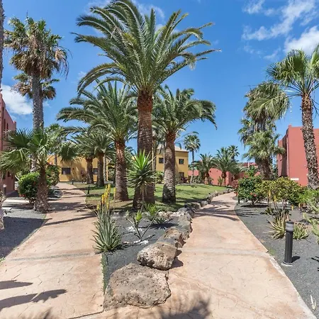 Fuerteventura Herbania