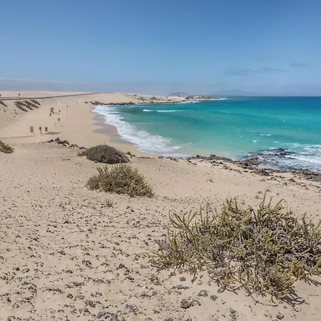 Fuerteventura Herbania * Corralejo